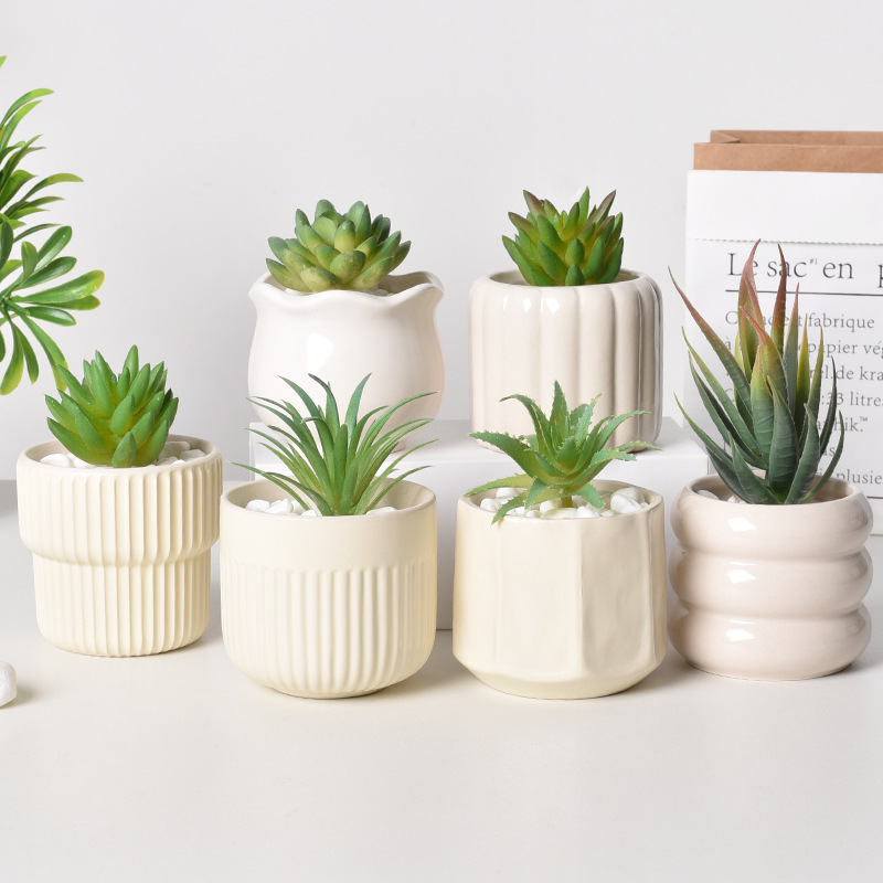Self Watering Planter - Seramik Kendinden Sulama Özellikli Sukulent Saksısı,