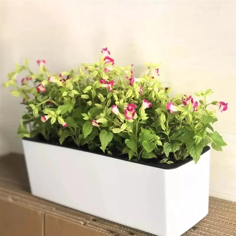 Hydroponic Grow Pod - Dikdörtgen Tembel Saksı Saksı Topraksız Plastik