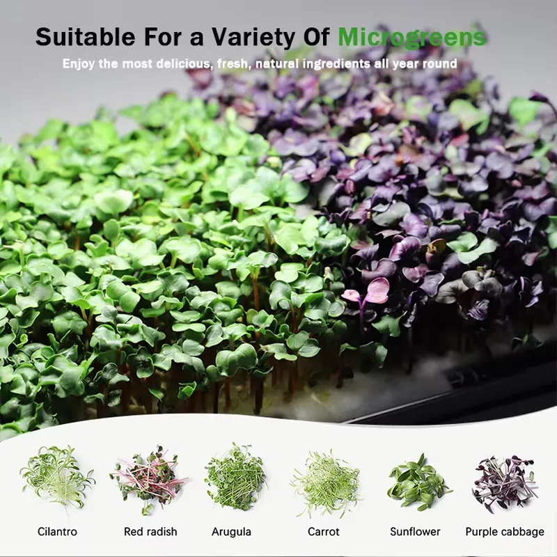 Mikro yeşillikler için kendi k - Indoor Garden Kit incelemesi ve fiyatı