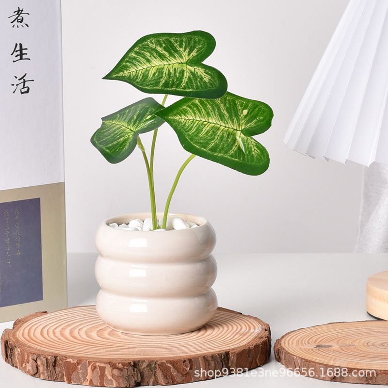 Seramik Kendinden Sulama Özell - Self Watering Planter incelemesi ve fiyatı