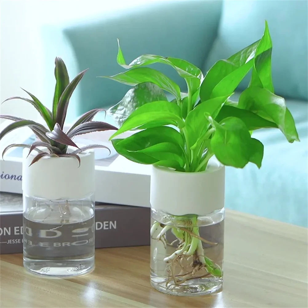 Mini Hidroponik Saksı Şeffaf T - Hydroponic Grow Pod incelemesi ve fiyatı