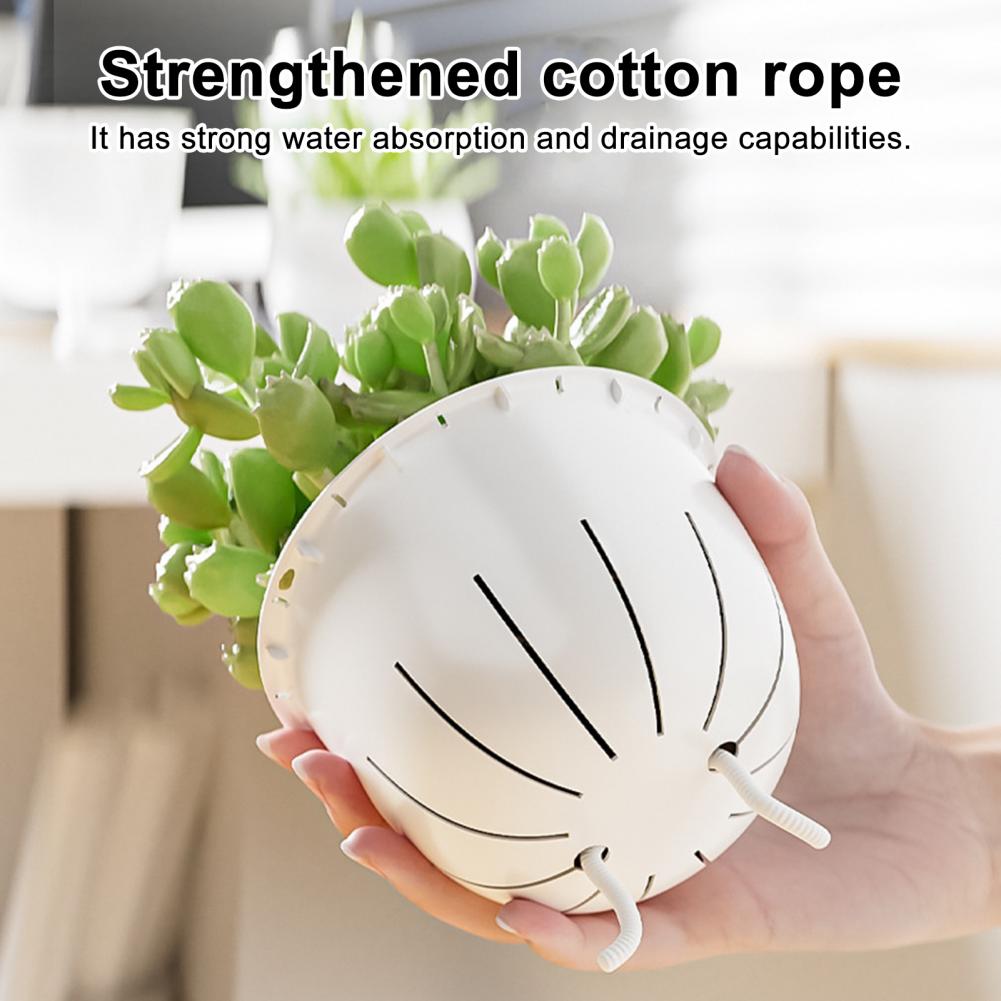 Şeffaf Su Hattı Saksısı, İç Me - Self Watering Planter incelemesi ve fiyatı