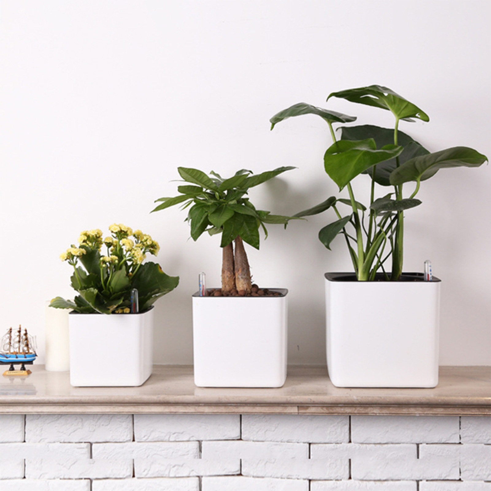 Kendi Kendine Sulayan Saksı Su - Self Watering Planter incelemesi ve fiyatı