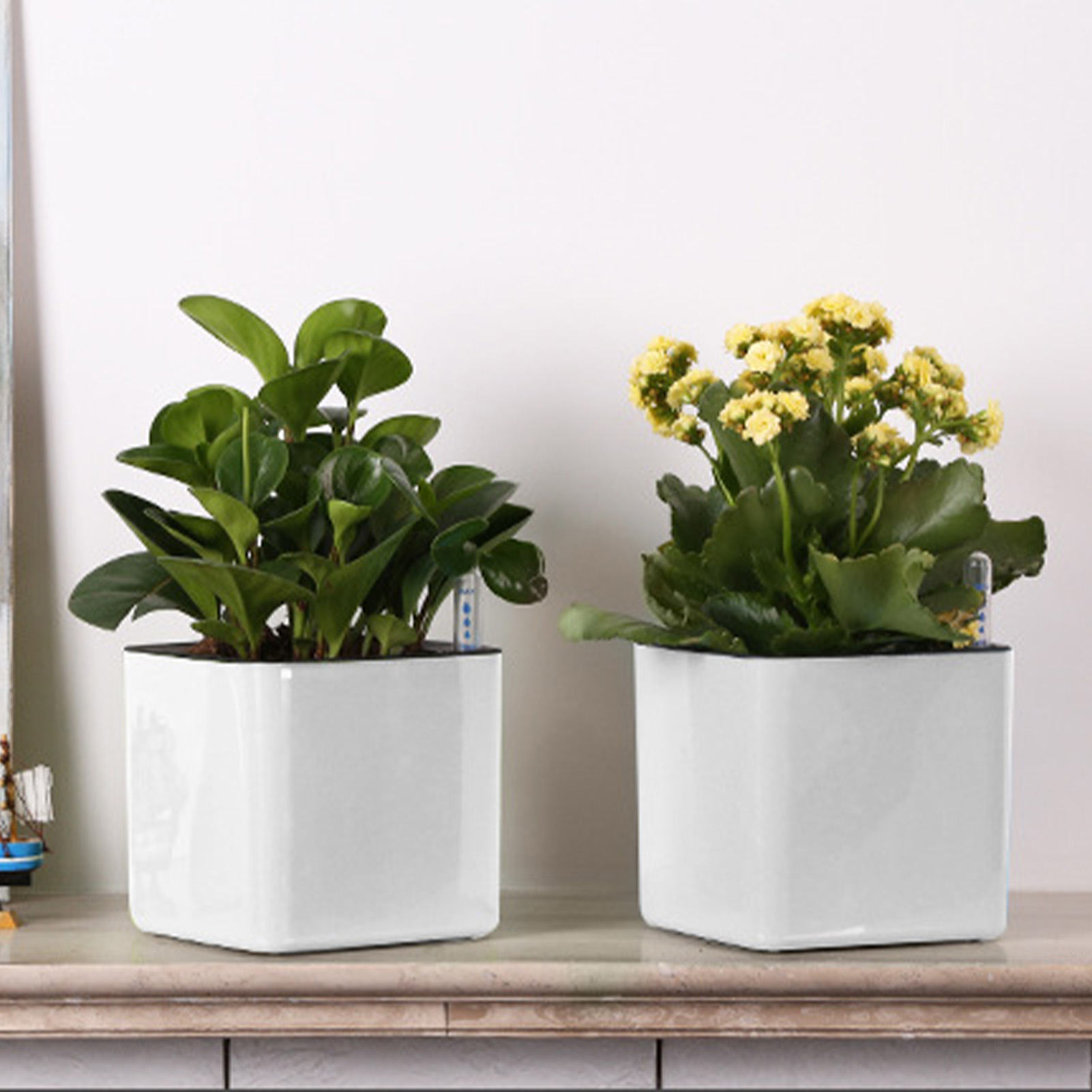 Kendi Kendine Sulayan Saksı Su - Self Watering Planter incelemesi ve fiyatı