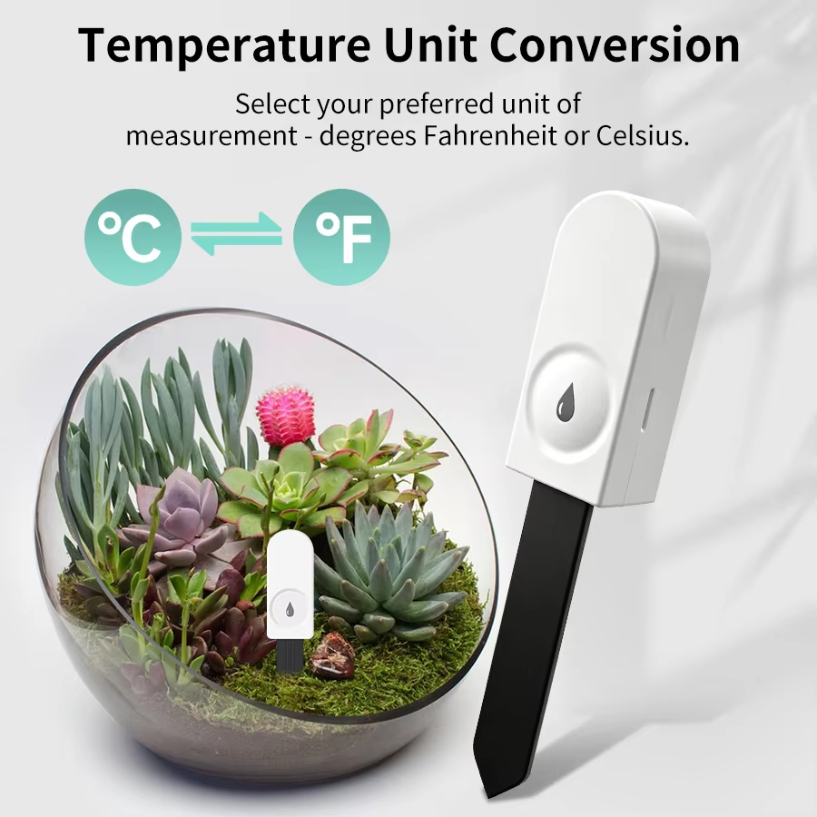 Zigbee 3.0 Bitki Monitörü Topr - Plant Monitor incelemesi ve fiyatı