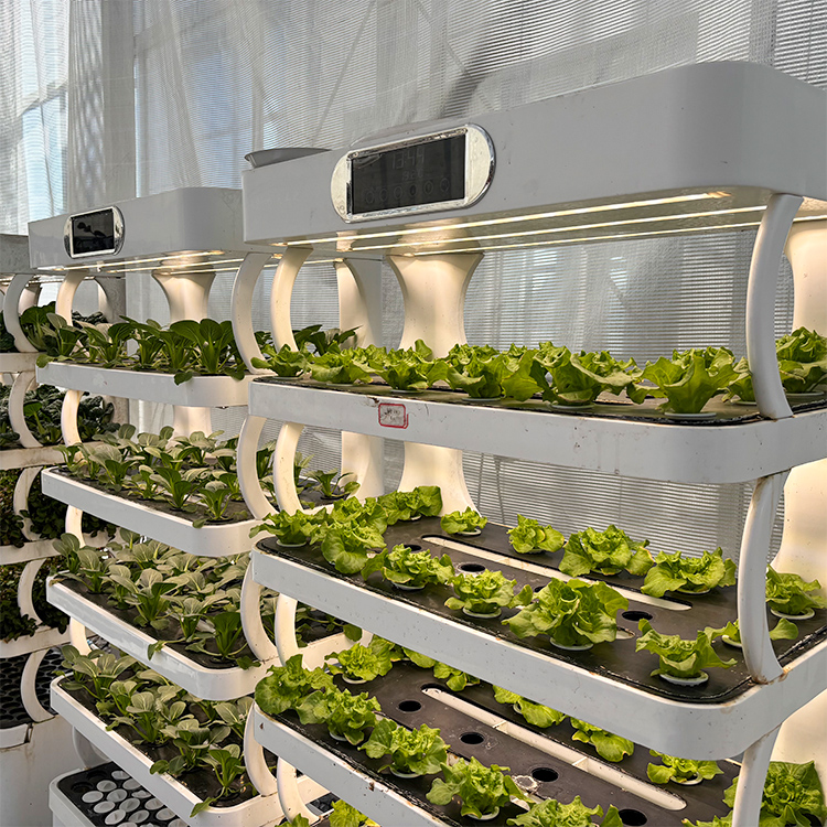 Akıllı İç Mekan Bahçe Saksısı  - Grow Light Led incelemesi ve fiyatı